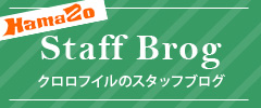 クロロフイルのスタッフブログ